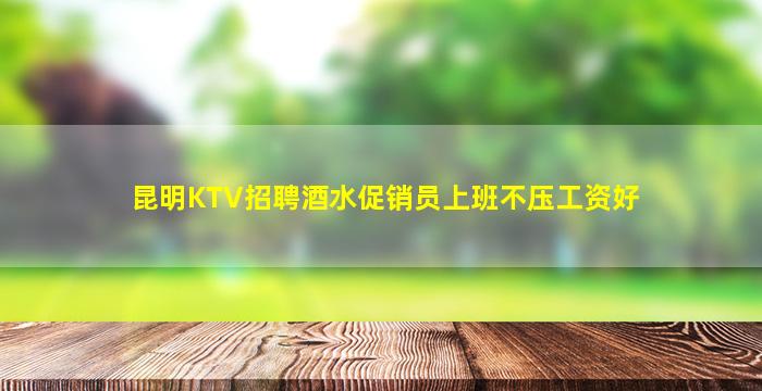 昆明KTV招聘酒水促销员上班不压工资好